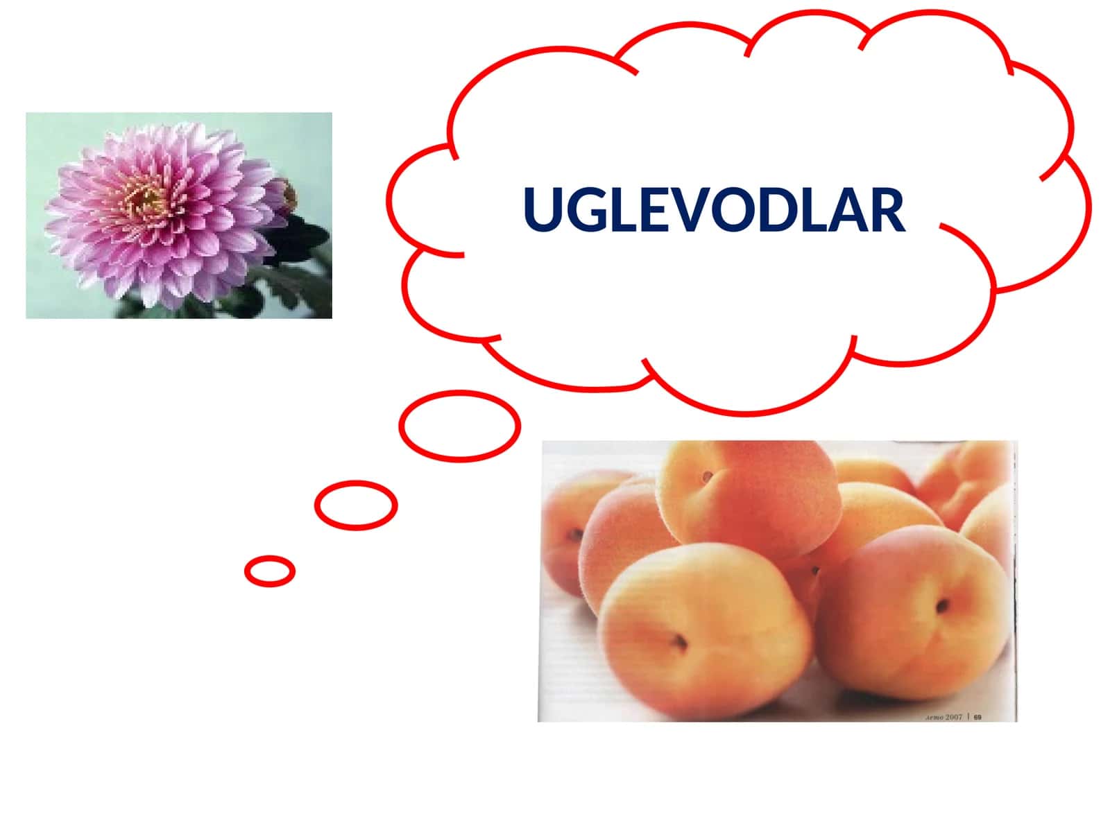 Uglevodlar 1