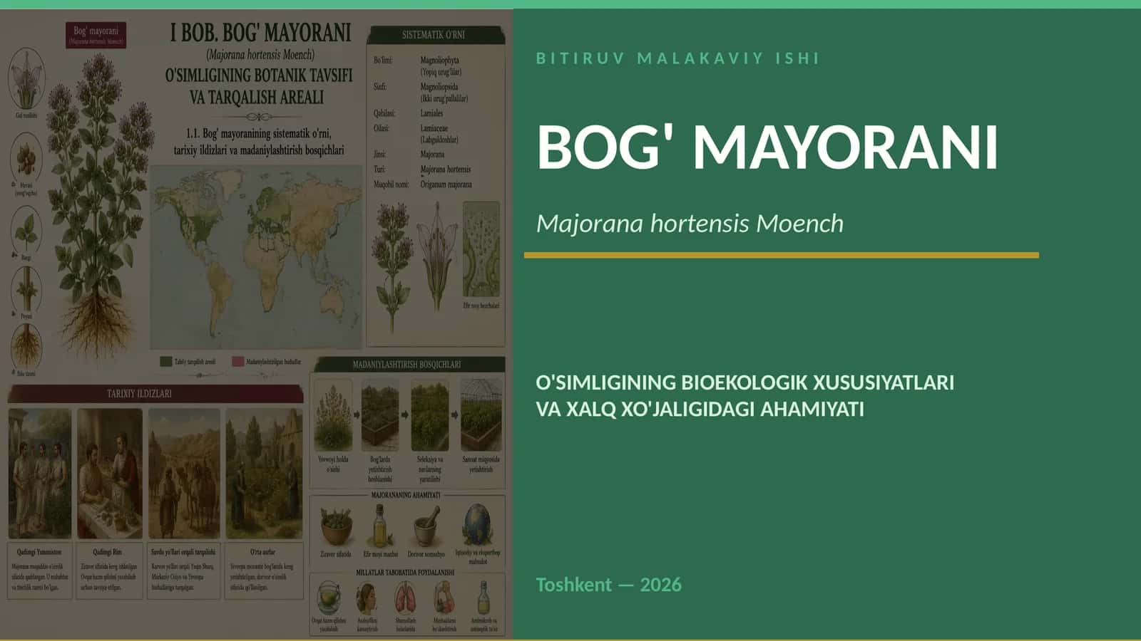 BITIRUV MALAKAVIY ISHI 1