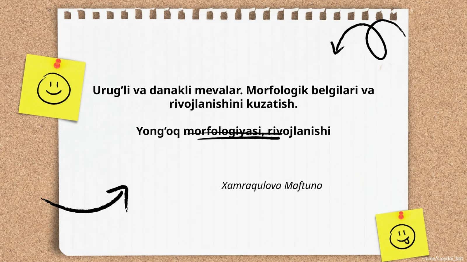 Yong’oq morfologiyasi, rivojlanishi 1