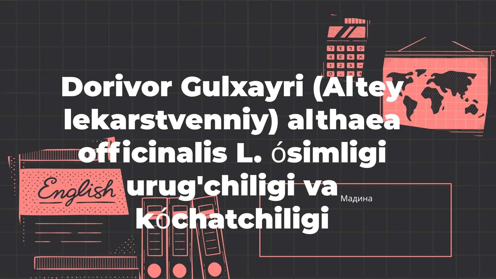 Dorivor Gulxayri (Altey lekarstvenniy) 1
