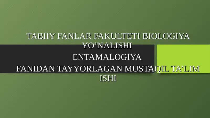Entamologiya Fanidan Tayyorlangan Mustaqil Ta'lim Ishi 1