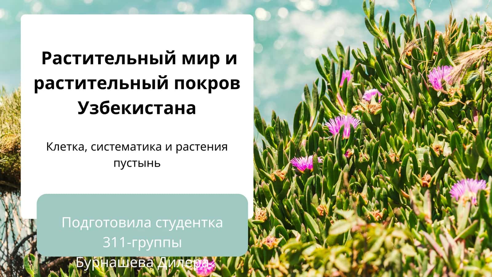 Растительный мир и растительный покров Узбекистана 1
