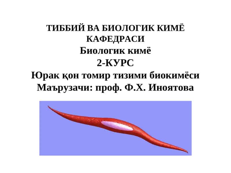 Биологик кимё2-КУРС 1