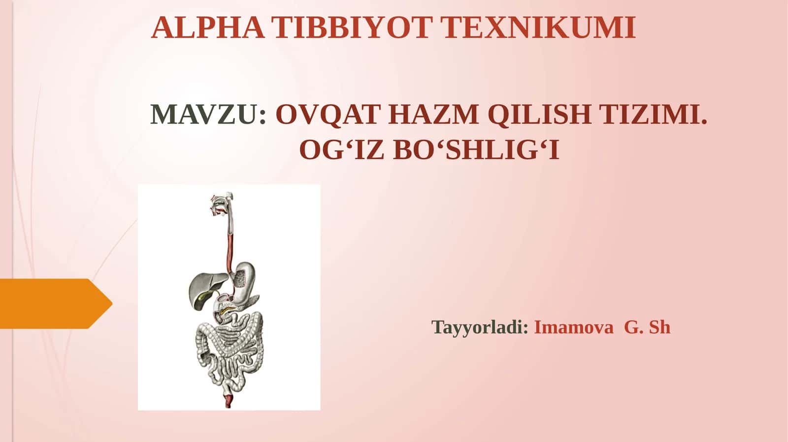 OVQAT HAZM QILISH TIZIMI.OG‘IZ BO‘SHLIG‘I 1