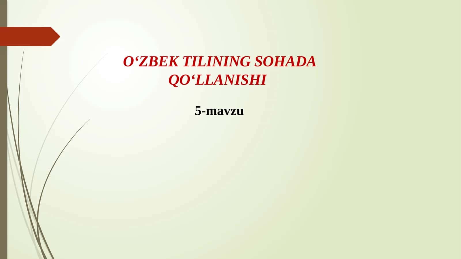 O‘ZBEK TILINING SOHADA QO‘LLANISHI5-mavzu MATN VA UNING TURLARI 1