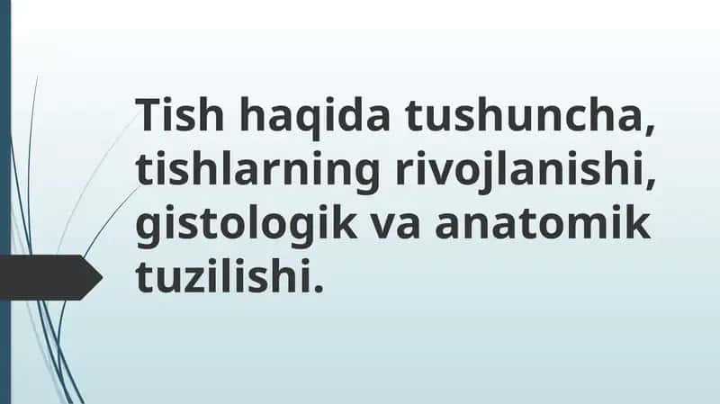 Tishlarning tuzilishi, anatomik va gistologik tuzilishi 1