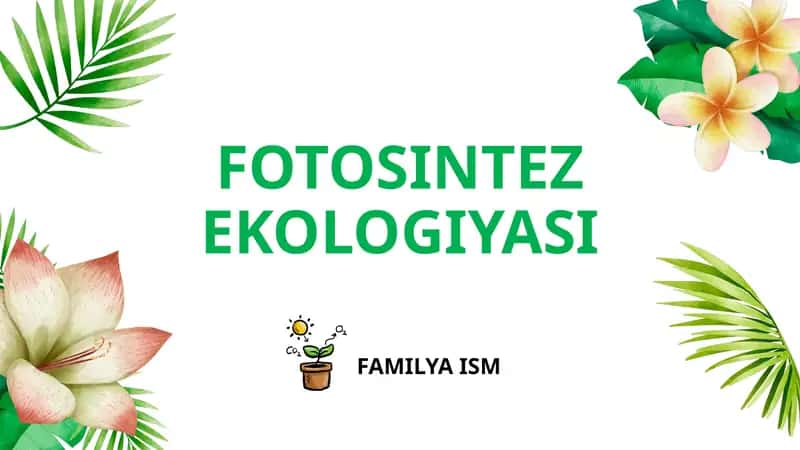 FOTOSINTEZ EKOLOGIYASI 1