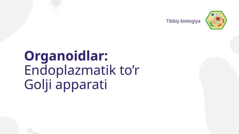 Organoidlar: Endoplazmatik to'r Golji apparati 1