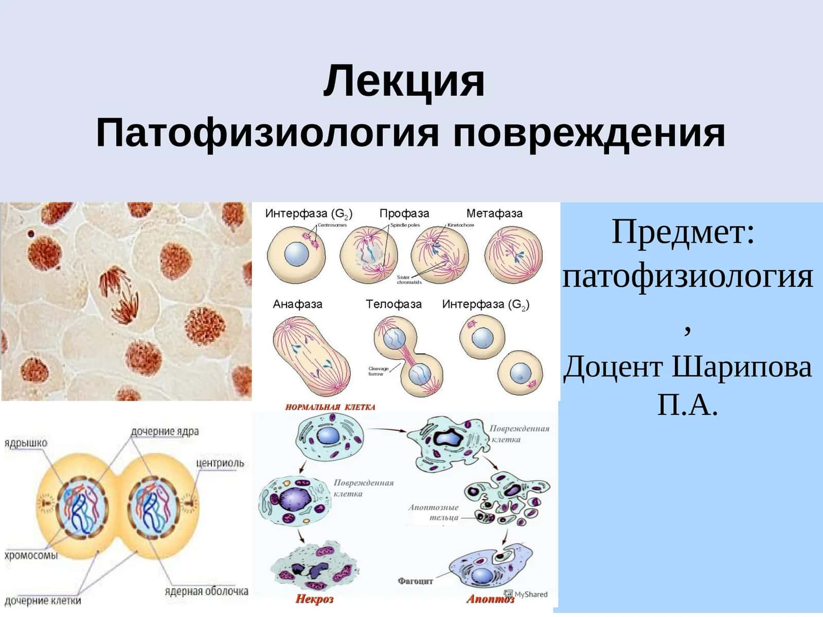 Патофизиология повреждения 1
