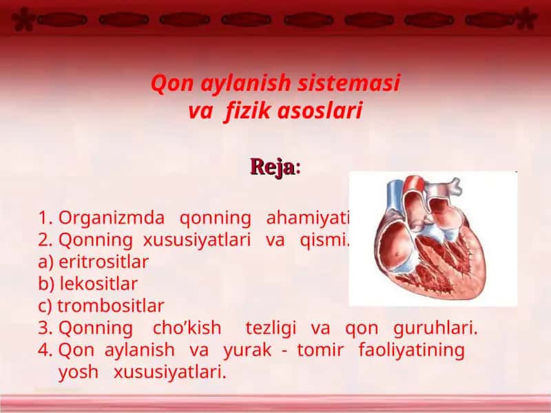 Qon aylanish sistemasi va  fizik asoslari 1