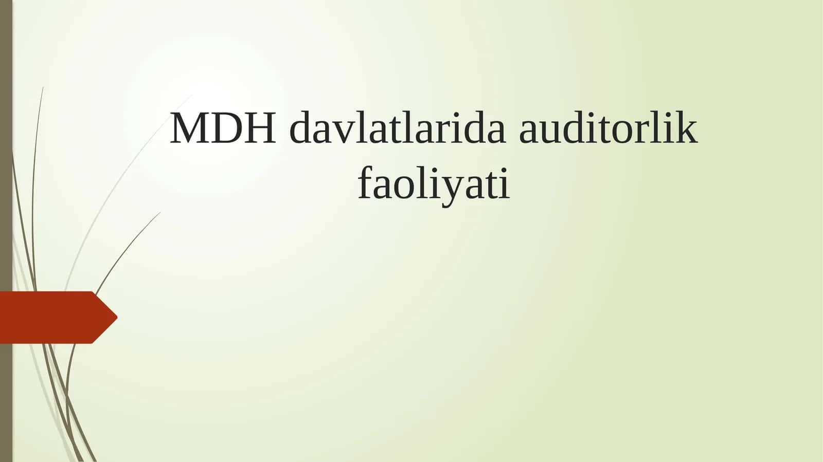 MDH davlatlarida auditorlik faoliyati 1