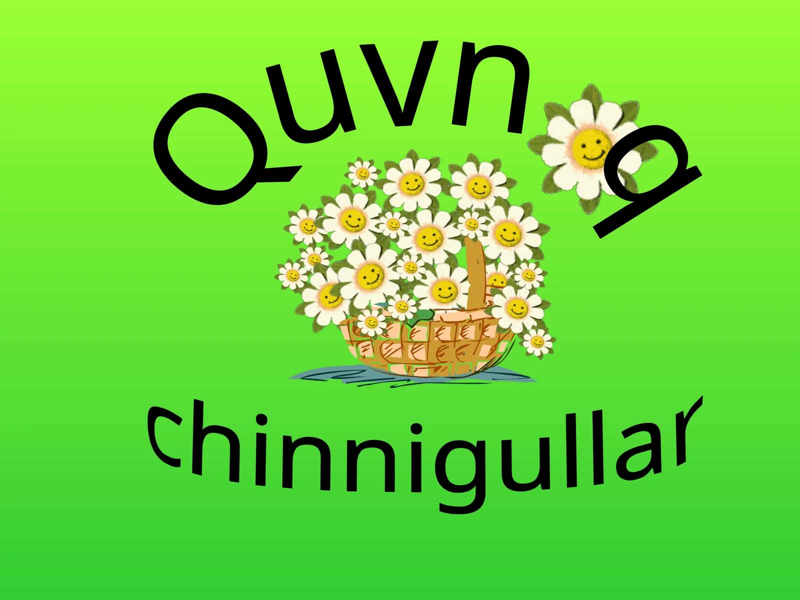 Quvnoq  chinnigullar 1