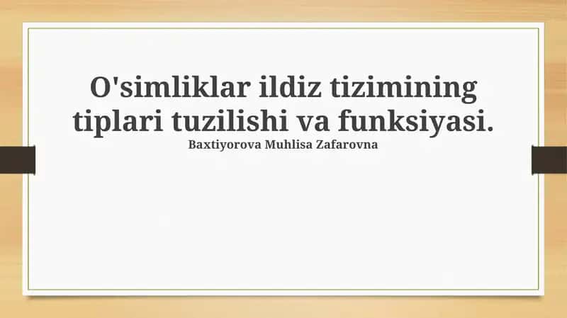 O'simliklar ildiz tizimining tiplari tuzilishi va funksiyasi 1
