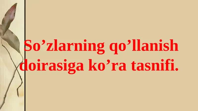 So’zlarning qo’llanish doirasi 1