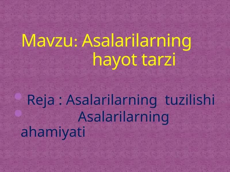 Asalarilarning tuzilishi 1