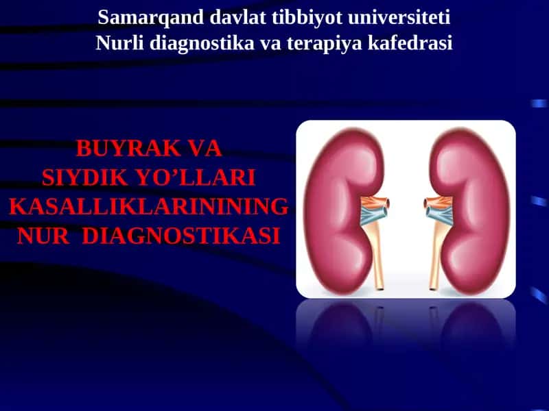 siydiq yo'llari kasalliklarining nur diagnostikasi 1