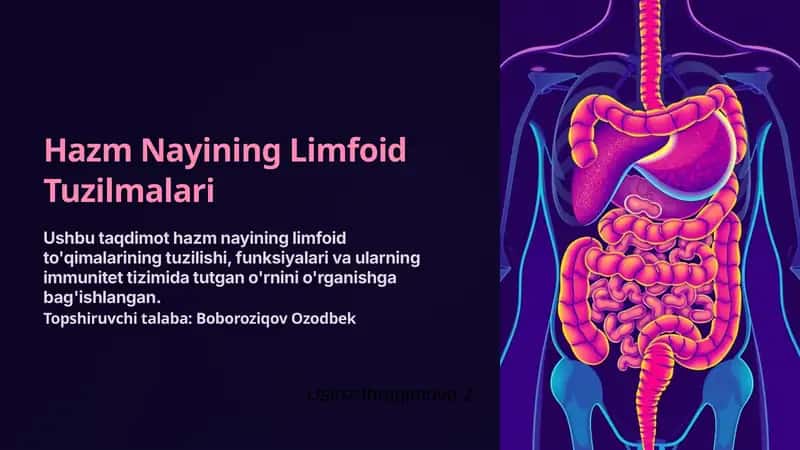 Limfoid To'qimalarning Tuzilishi 1