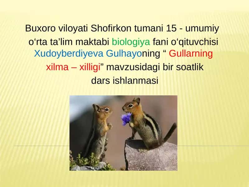 "Gullarning xilma - xilligi" mavzusidagi bir soatlik dars ishlanmasi 1