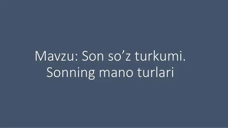 Son so’z turkumi. Sonning mano turlari 1