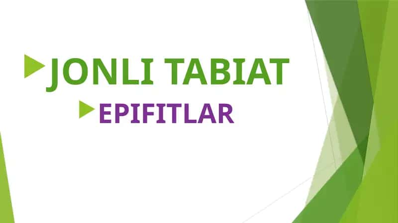 JONLI TABIAT 1