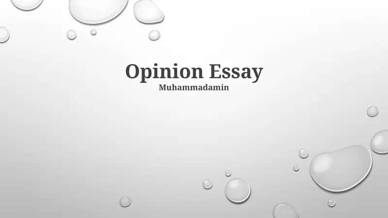 Opinion Essay 1