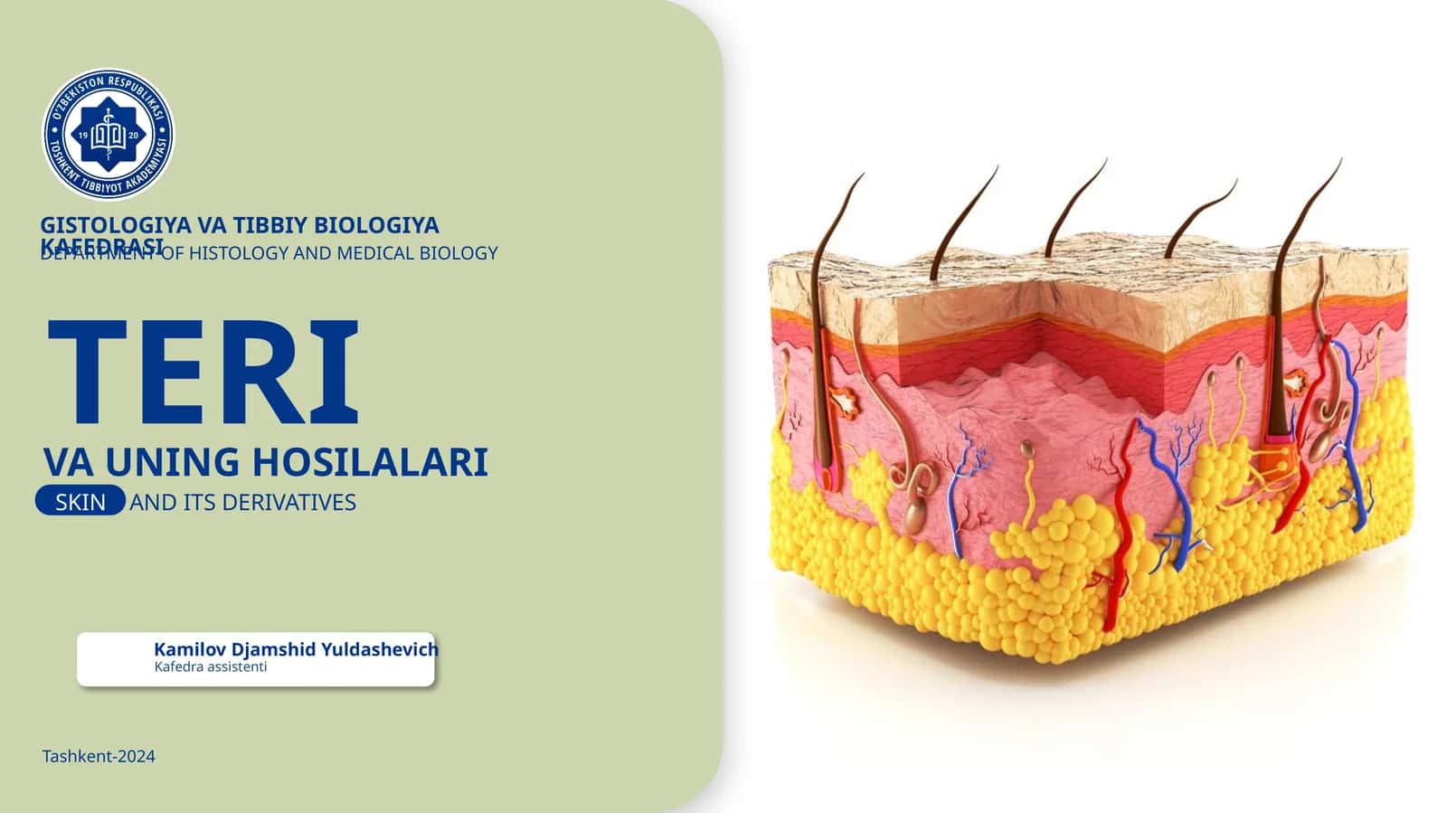 GISTOLOGIYA VA TIBBIY BIOLOGIYAKAFEDRASI TERI VA UNING HOSILALARI 1
