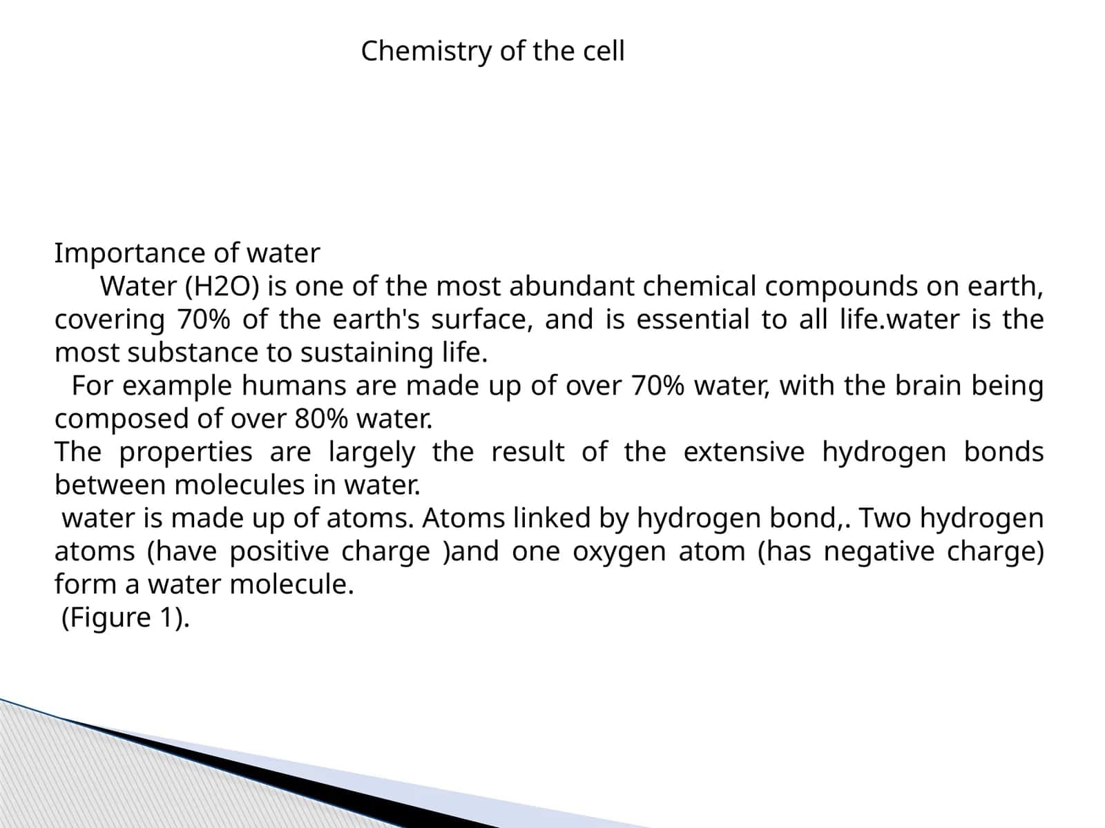 Importance of water 1