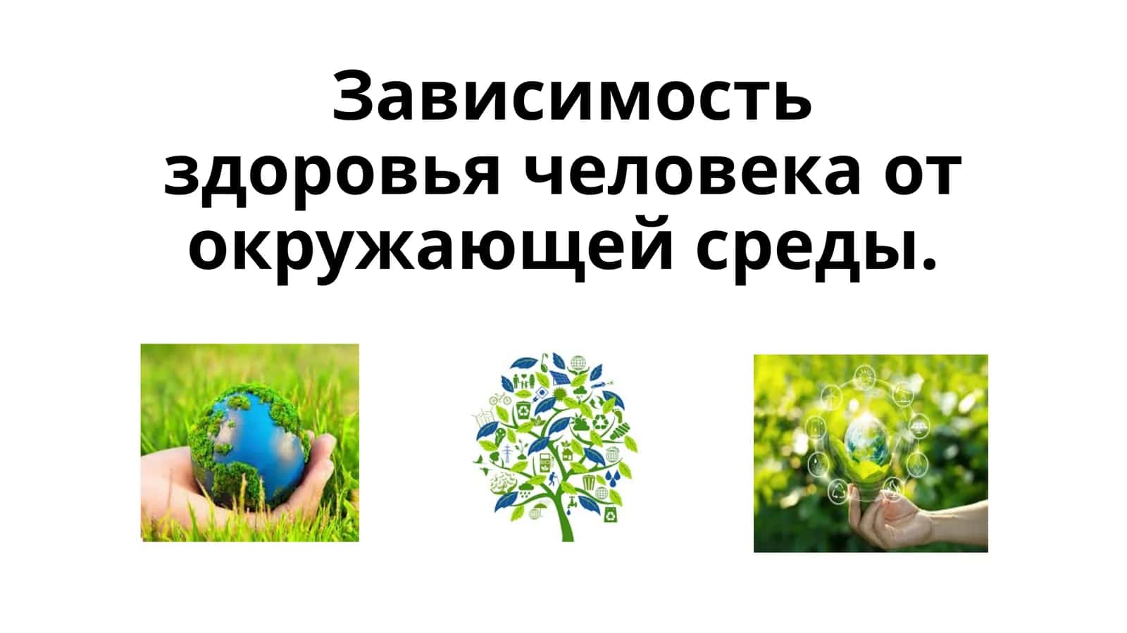 Зависимость здоровья человека от окружающей среды 1