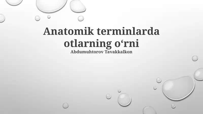 Anatomik terminlarda otlarning oʻrni 1