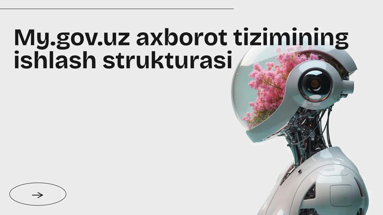 My.gov.uz axborot tizimi 1