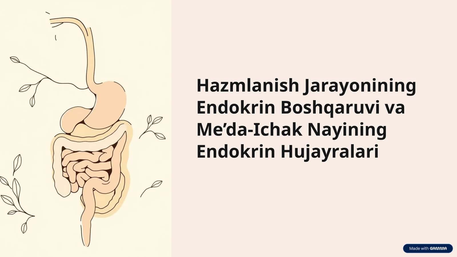 Hazmlanish Jarayonining Endokrin Boshqaruvi va Me’da-Ichak Nayining Endokrin Hujayralari 1