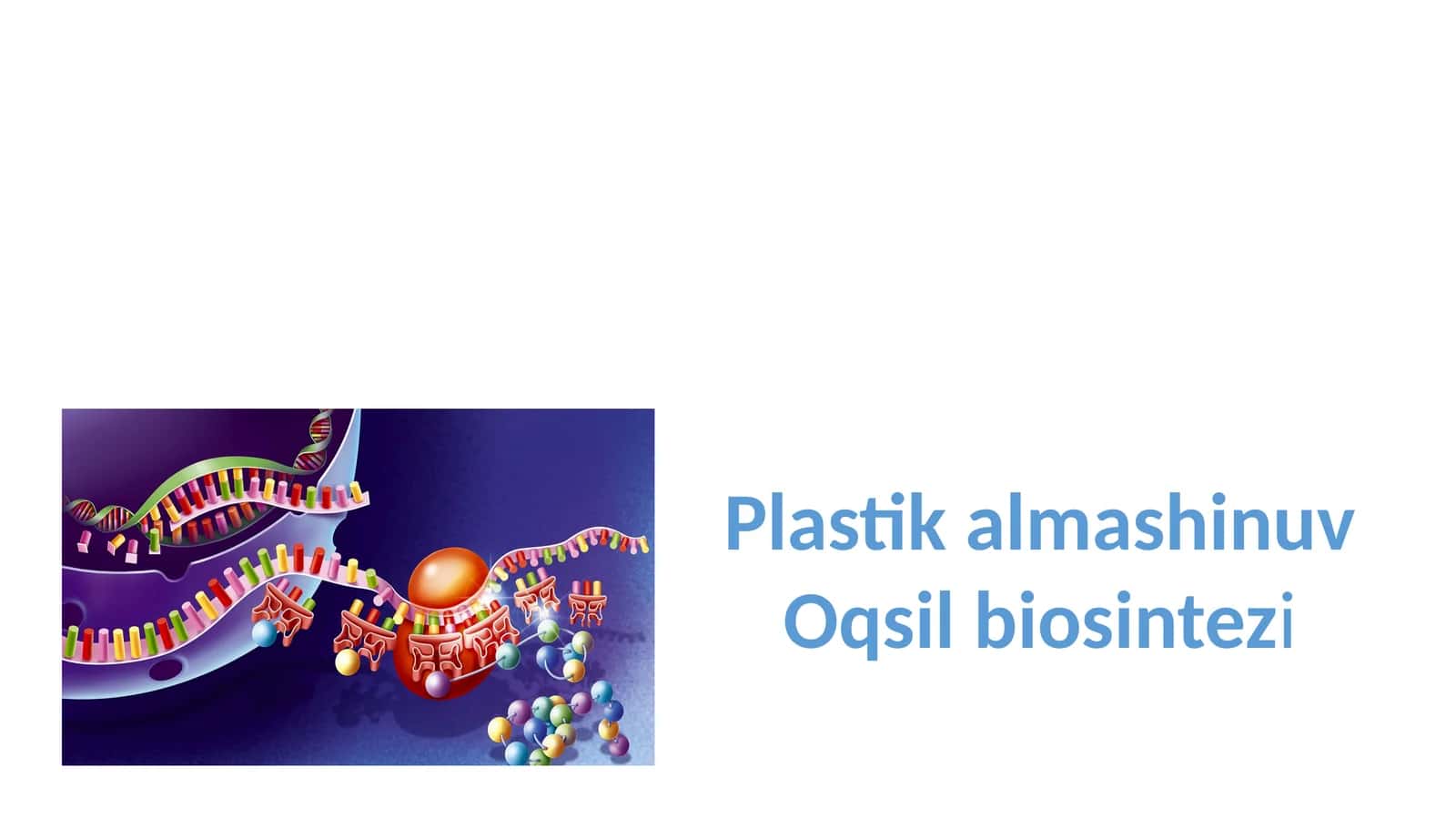 Oqsil biosintezi. Plastik almashinuv 1