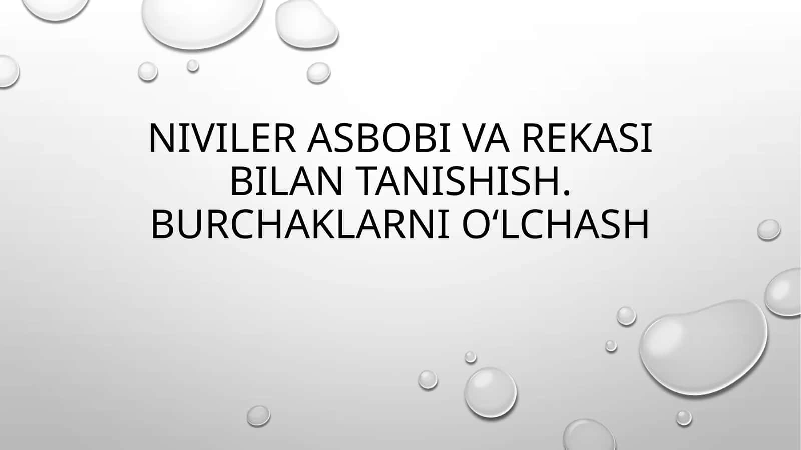 niviler asbobi va reykasi bilan tanishish. oʻlchov olishni oʻrganish 1