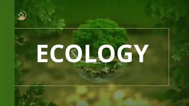 Atmosfera havosini muhofaza qilishni iqtisodiy-ekologik ahamiyati