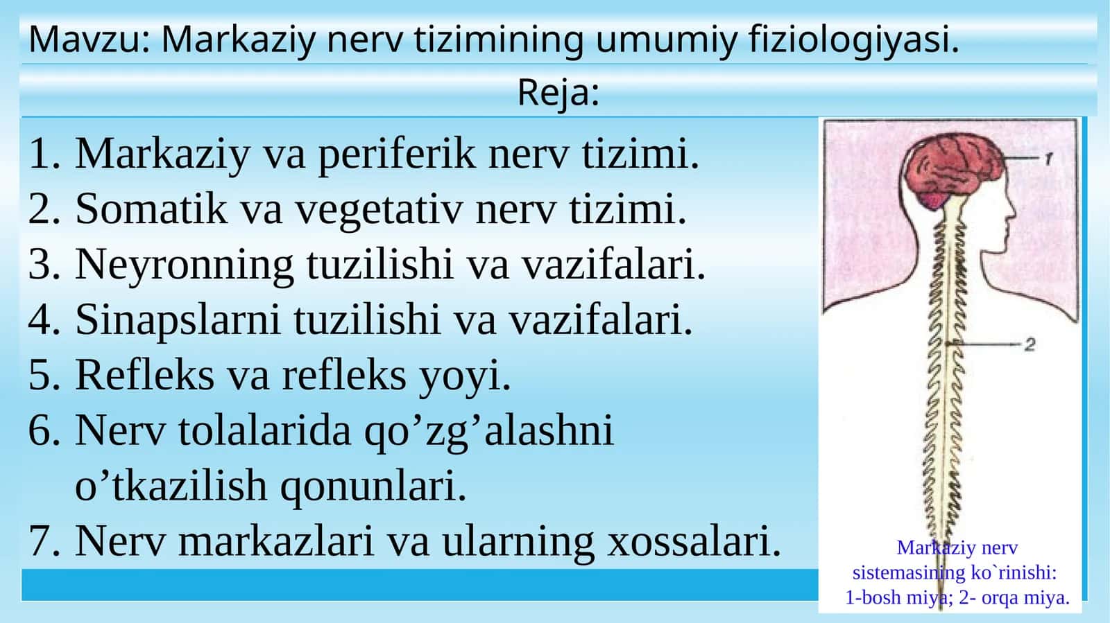 Markaziynerv tizimining umumiy fiziologiyasi 1