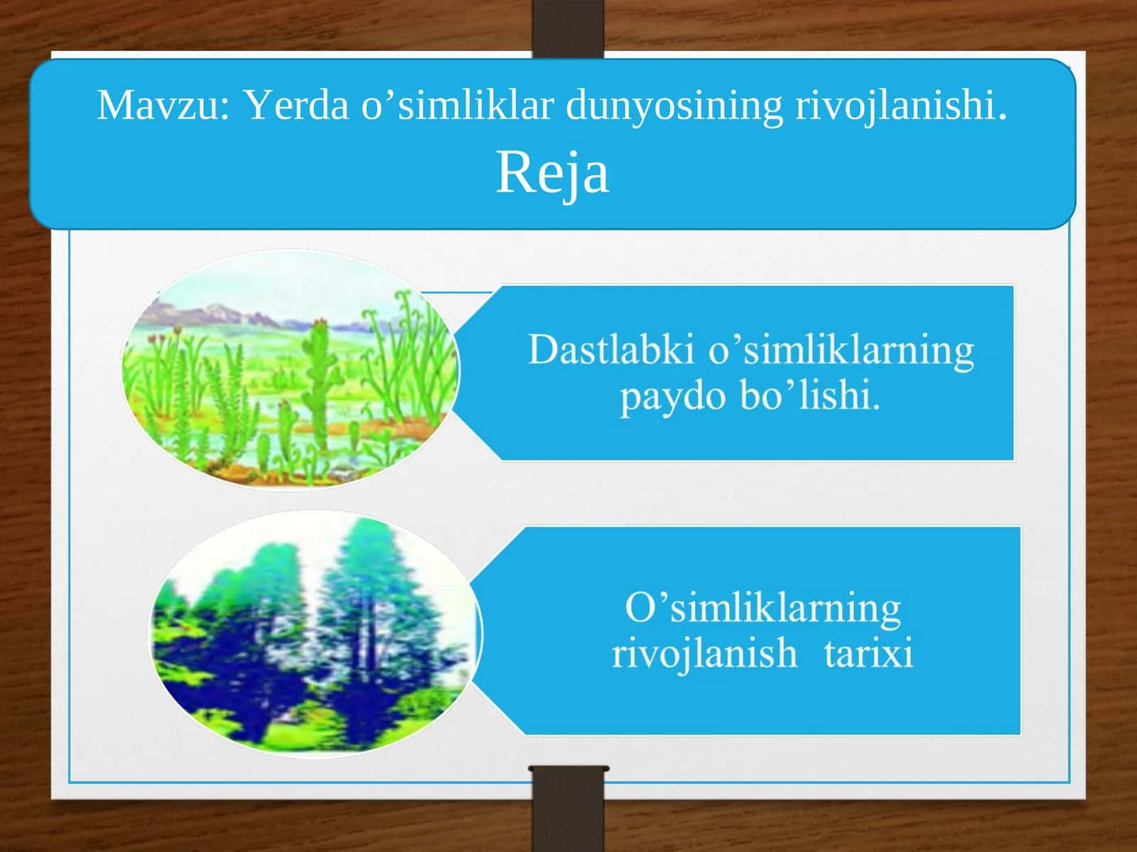 Yerda o’simliklar dunyosining rivojlanishi 1