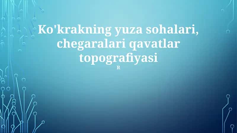 Ko'krakning yuza sohalari, chegaralari qavatlar topografiyasi 1