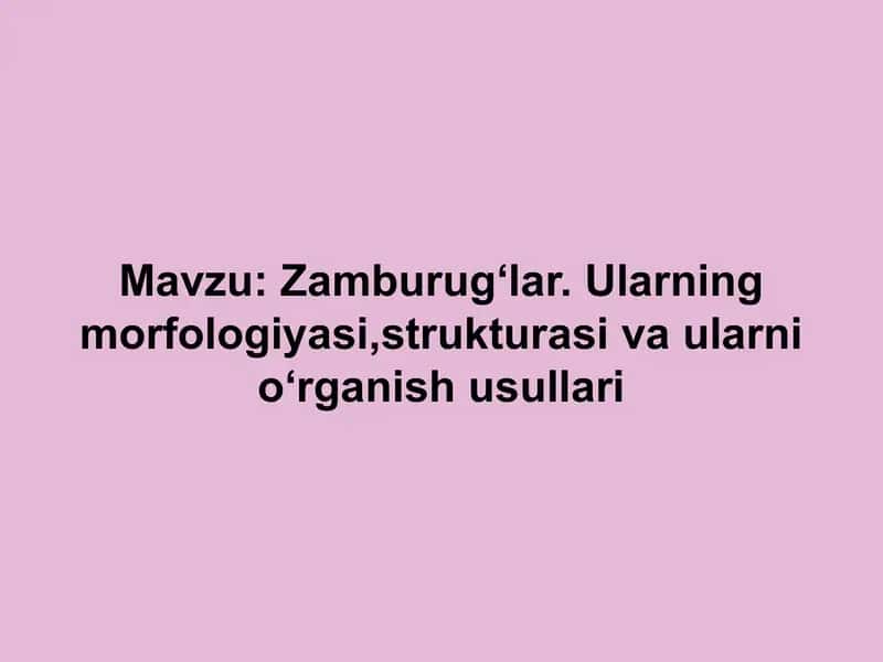 Zamburugʻlar. Ularning morfologiyasi,strukturasi va ularni oʻrganish usullari 1