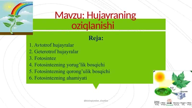 Hujayraning oziqlanishi 1