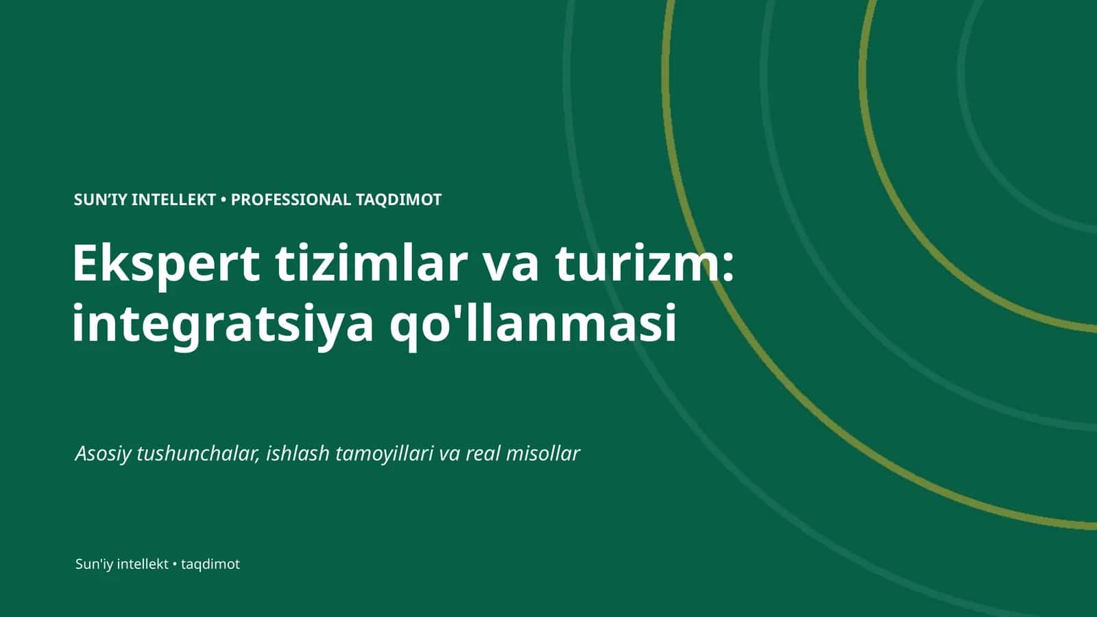 Ekspert tizimlar va turizm: integratsiya qo'llanmasi 1