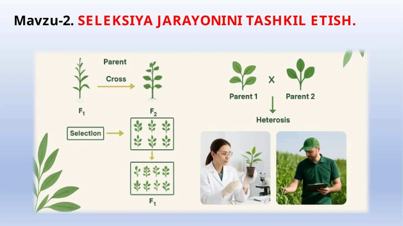 SELEKSIYA JARAYONINI TASHKIL ETISH 1