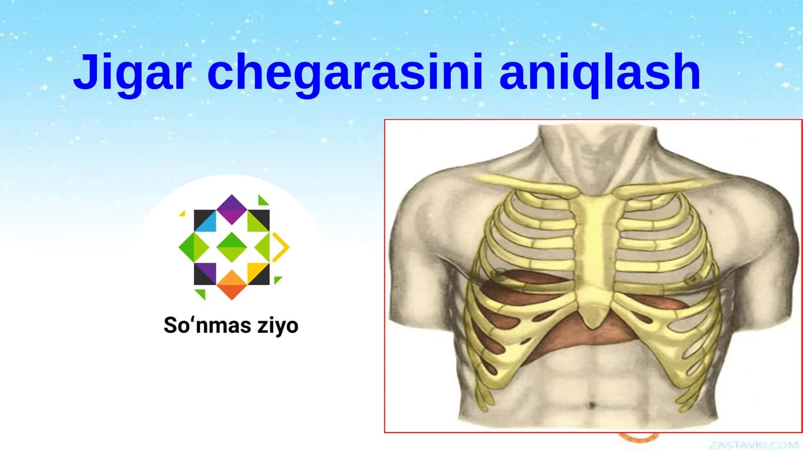 Jigar chegarasini aniqlash 1