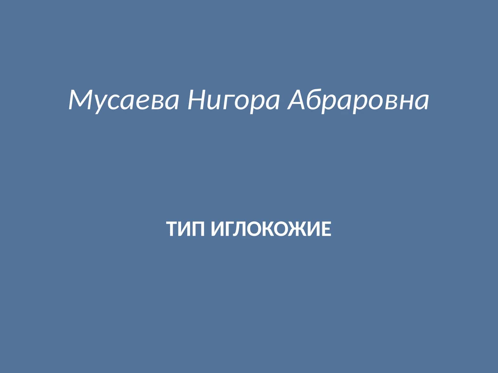 ТИП ИГЛОКОЖИЕ 1