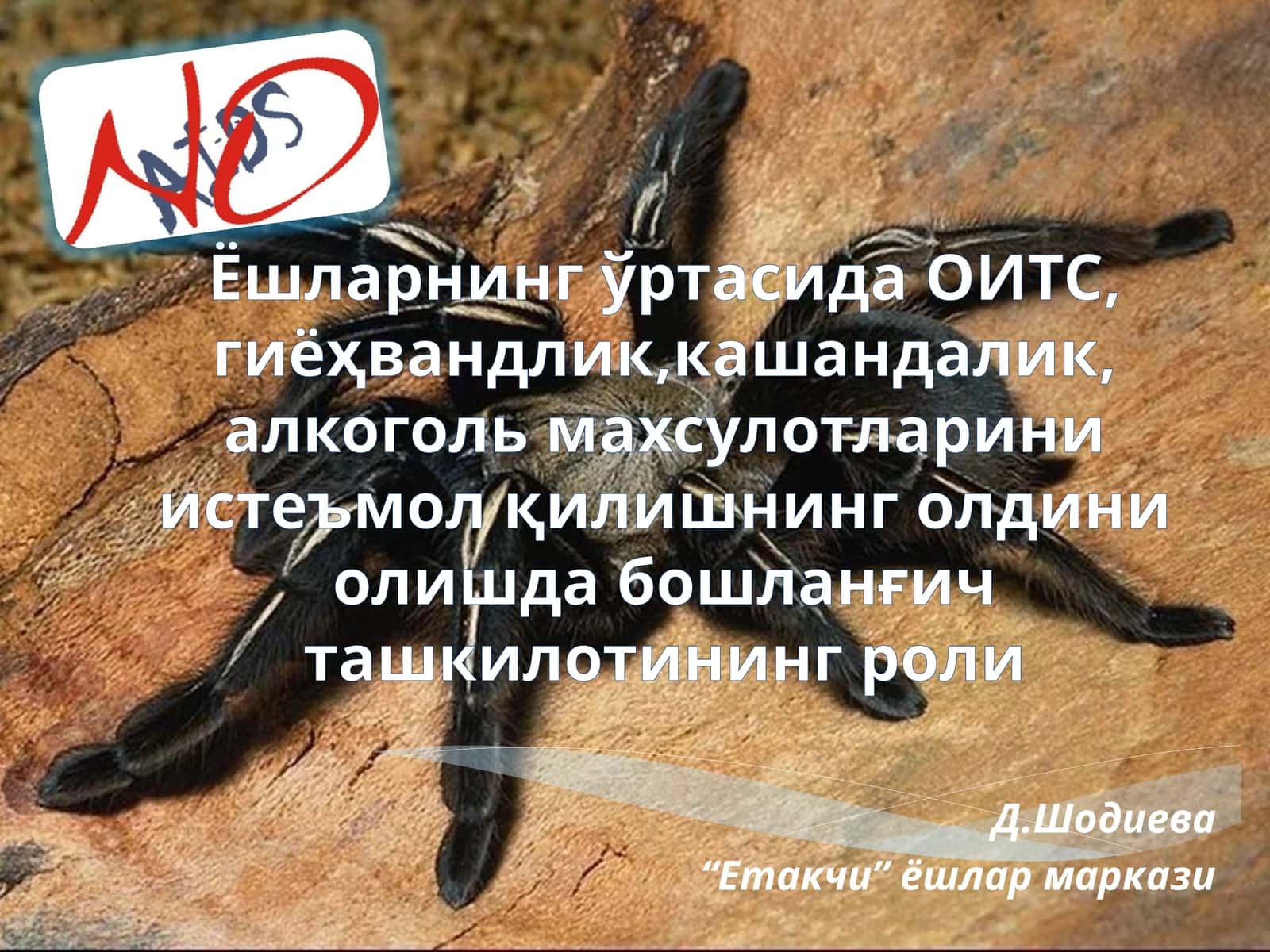 Ёшларнинг ўртасида ОИТС, гиёҳвандлик,кашандалик, алкоголь махсулотларини истеъмол қилишнинг олдини олишда бошланғич ташкилотининг роли 1