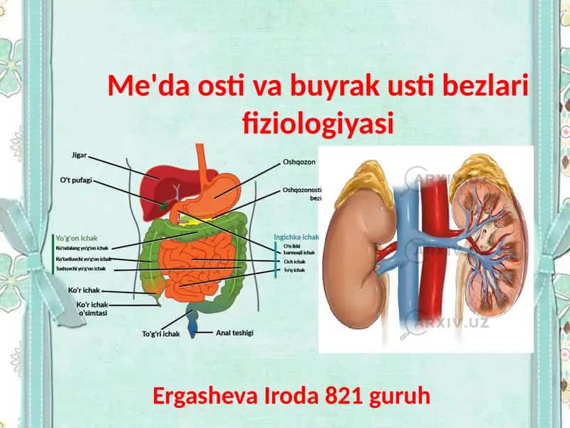 Me'da osti va buyrak ustibezlari fiziologiyasi 1