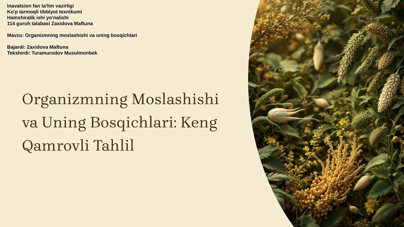 Organizmning Moslashishi va Uning Bosqichlari: Keng Qamrovli Tahlil 1