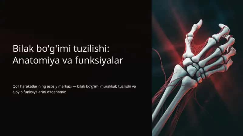 Bilak bo'g'imi tuzilishi: Anatomiya va funksiyalar 1