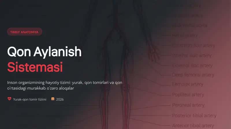 TIBBIY ANATOMIYA Qon Aylanish Sistemasi 1