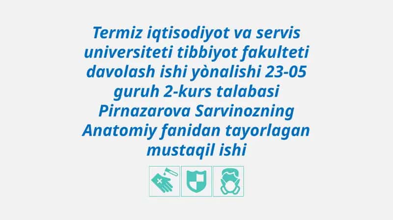 Termiz iqtisodiyot va servis universiteti Tibbiyot fakulteti 1