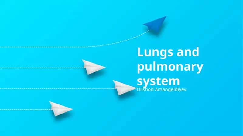 Lungs and pulmonary system 1